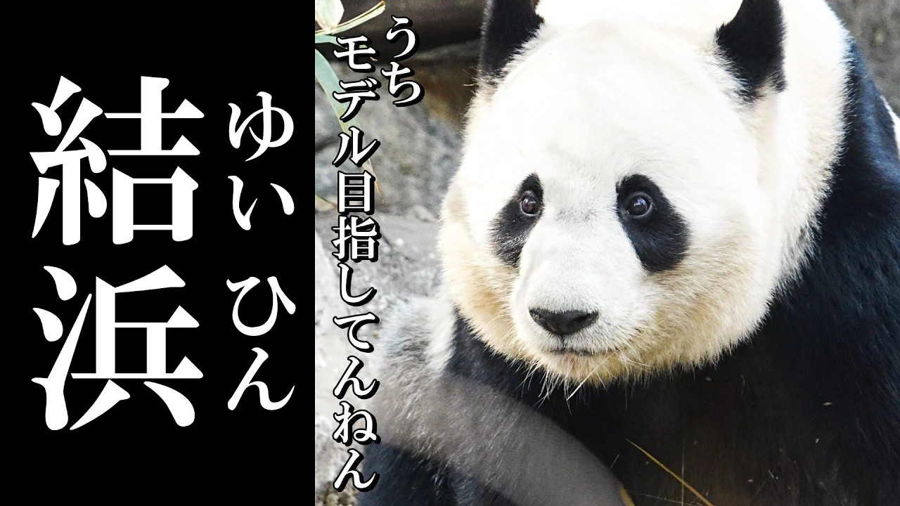 結浜の美しすぎるモデルウォーク♪ 優雅なランウェイをご覧あれ✨