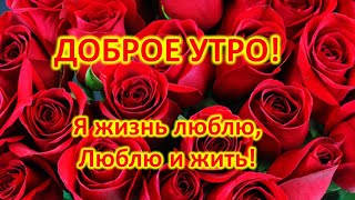 Доброе утро! С добрым утром и хорошего дня! Счастье в мелочах.#открытка #доброеутро