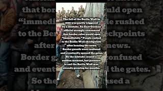 Berlin Wall Fall 1989 Explained | Was It Really a Mistake?