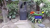 詩吟 強烈な努力 名誉棋聖 藤沢秀行 Youtube 詩吟 強烈な努力 名誉棋聖 藤沢秀行 Youtube