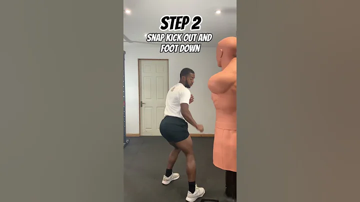 TURNING KICK TO HOOK KICK TUTORIAL