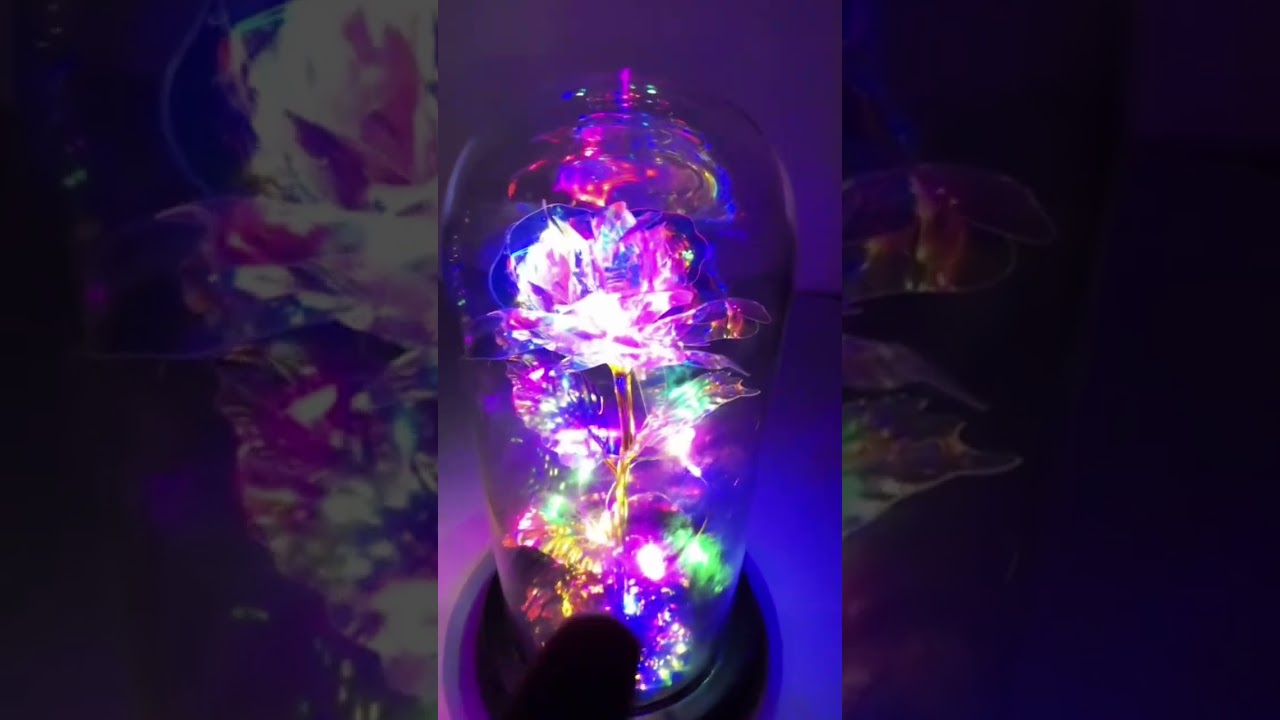 Red Rose & Galaxy Rose Glass Dome 