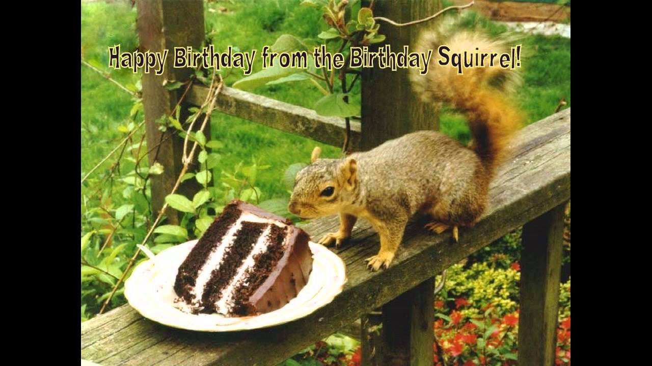 Birthday Squirrel Wishes You A Happy Birthday Youtube