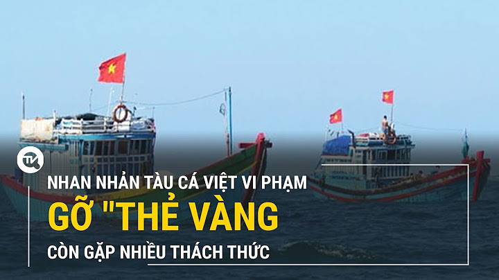 Hải sản việt nam bị thẻ vàng nguyên nhân