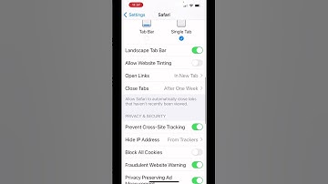 Remove Cookies from iPhone