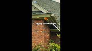 Want a bug free home? Start by blocking their way in #pestcontrol #okc #fyp #bugs #localbusi #shorts