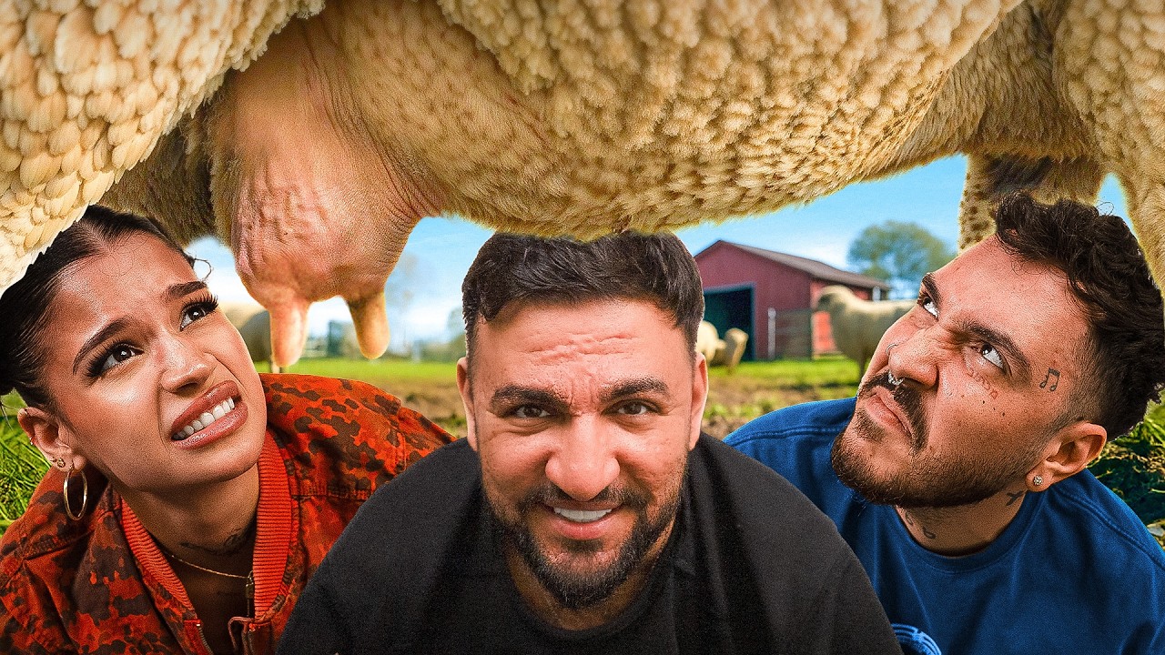 CINE MULGE OAIA MAI BINE? (Fugiti de Acasa S2: Ep. 8)