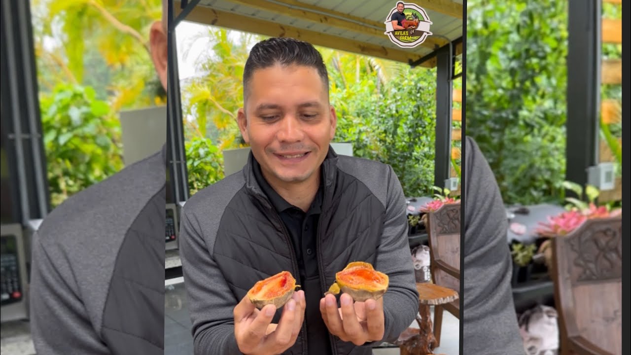 Un pase por Avila’s Farm 👌🏻