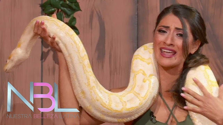 Los nervios traicionaron a Elvira durante su reto en vivo (¿o habrá sido la serpiente?) | NBL