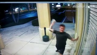 Vandal seen on surveillance video smashing several businesses