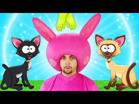Котята | Песенка про котят | Развивающая детская песенка | Чух Чух ТВ