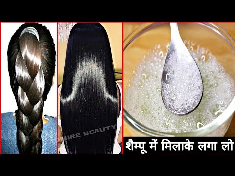 वीडियो: कैसे एक कुत्ता लगाम बनाने के लिए