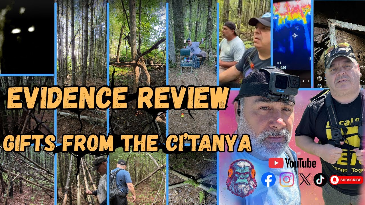 S04E5 Evidence Review: Gifts from the Ci'Tanya