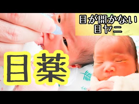 目やに 目が開かない新生児赤ちゃんに目薬点眼 結膜炎 鼻涙管閉塞症 Youtube