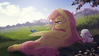 MLP:FIM - Fluttershy Tribute