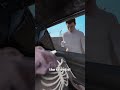 How Scientists Test Car Safety With Corpses 😨 thumbnail