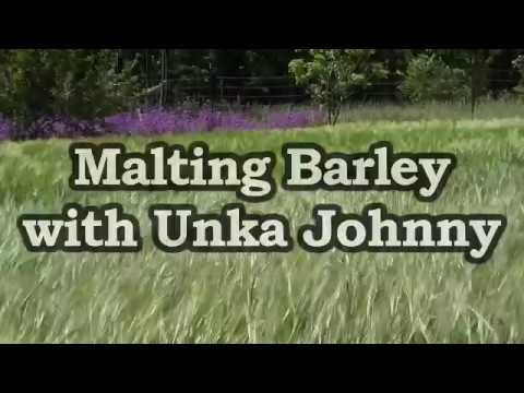 Malting Barley For Home Brewing Craft Beer