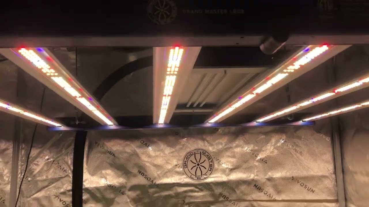 Tarantula Torch 480 Grow Lights, Grand Master LEDs.
