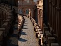 Roman empire #facts #shorts @MrBeast