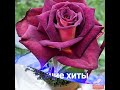 СЕРГЕЙ ОДИНЦОВ ЛУЧШИЕ ХИТЫ