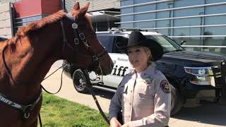 Meet Deputy Amanda Foster