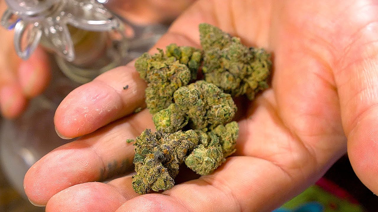 Don't Buy Coka by Good Day Farm Until You Watch This!