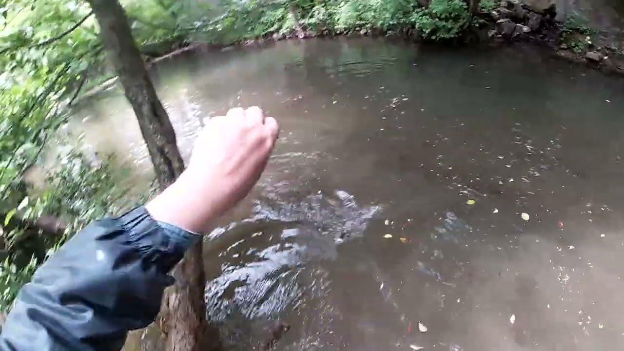 Top moments trota torrente 2025