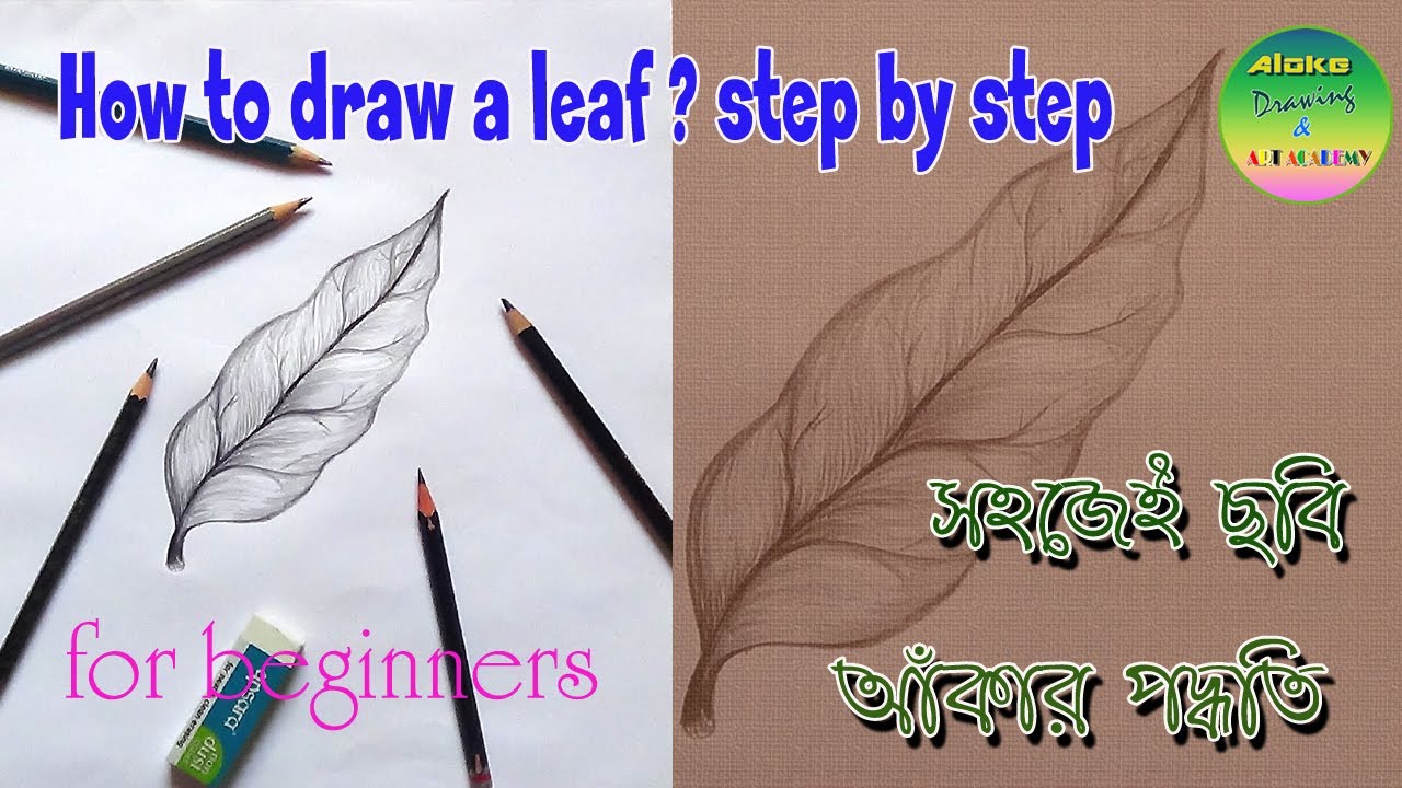 How to draw a leaf? step by step for beginners. - YouTube