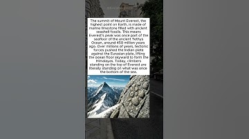 Fossils at the Top of the World 🐚🏔️