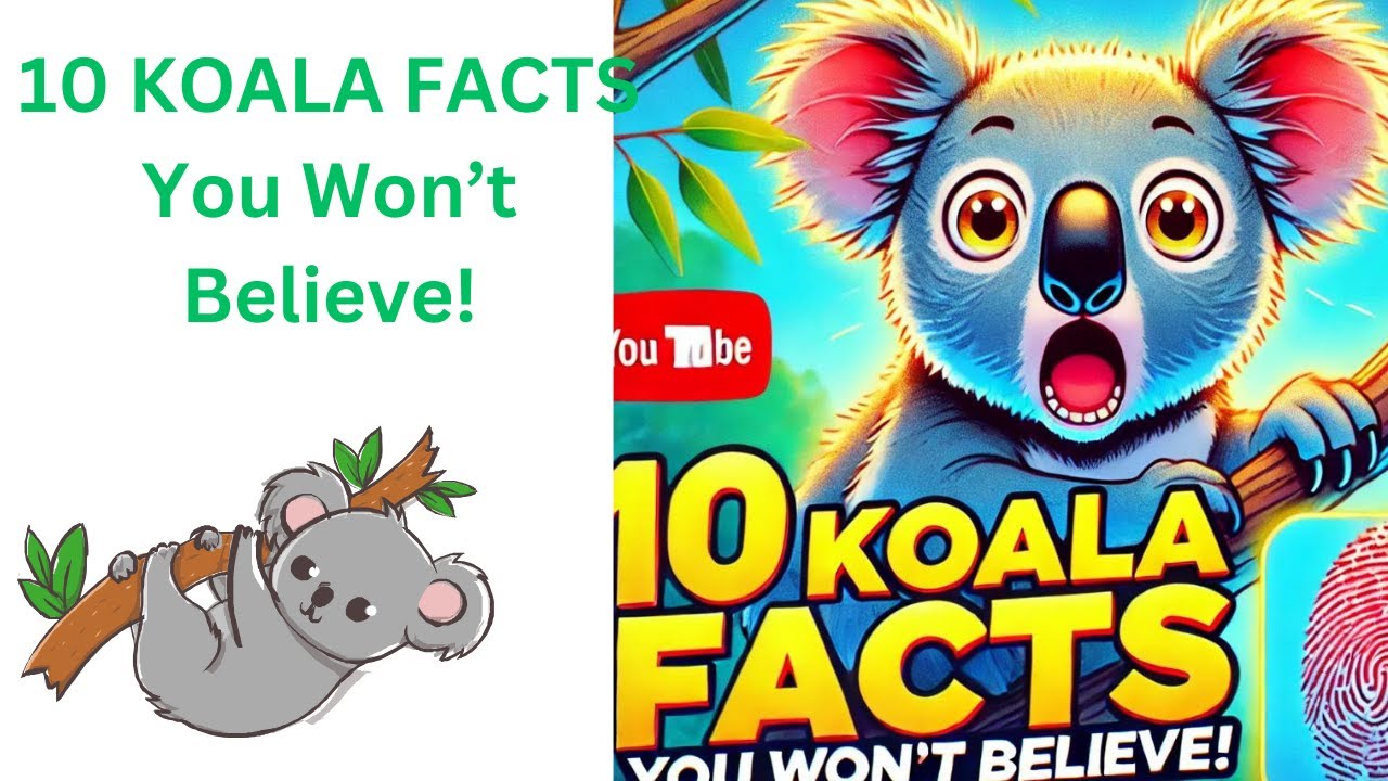 "10 Unbelievable Koala Facts That Will Leave You Speechless! 🐨 You