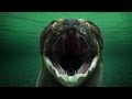 Titanoboa Monster Snake Full Episode