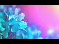 Calming Meditation Music ~ Fall Asleep in 5 Minutes ~ Complete Relaxation in the Soothing Forest