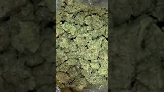 💥 The Absolute Lowest THCA Hemp Cost Ever Caught on Camera