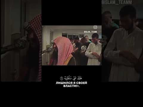 يا ليتها كانت القاضية ما أغنى عني ماليه محمد اللحيدان