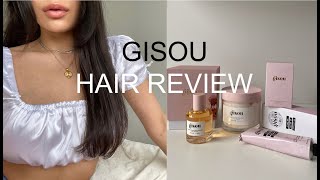 is Gisou worth the hype? + revlon blow dry brush