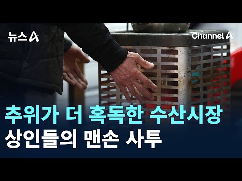 추위가 더 혹독한 수산시장…상인들의 맨손 사투 / 채널A / 뉴스A