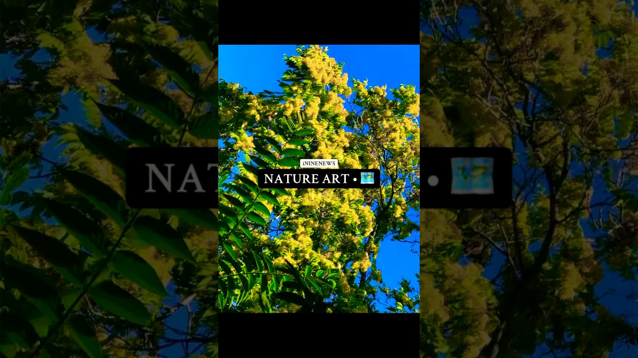 NATURE MEMES 🗺️ • 