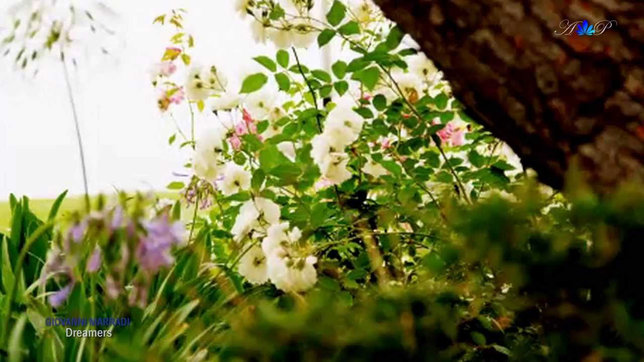 ♡ GIOVANNI MARRADI - Dreamers - YouTube