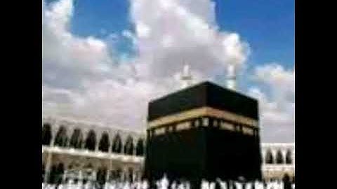 سورة المسد الشيخ صلاح سيدو