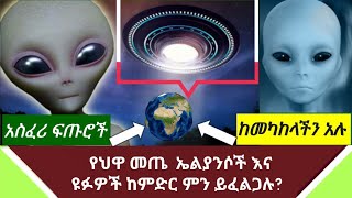 Ethiopia : ጉድ - የህዋ መጤ አካላት ኤልያንስ ከምድራችን ምን ይፈልጋሉ || abel birhanu ||axum tube||zehabesha||Ethiotoday