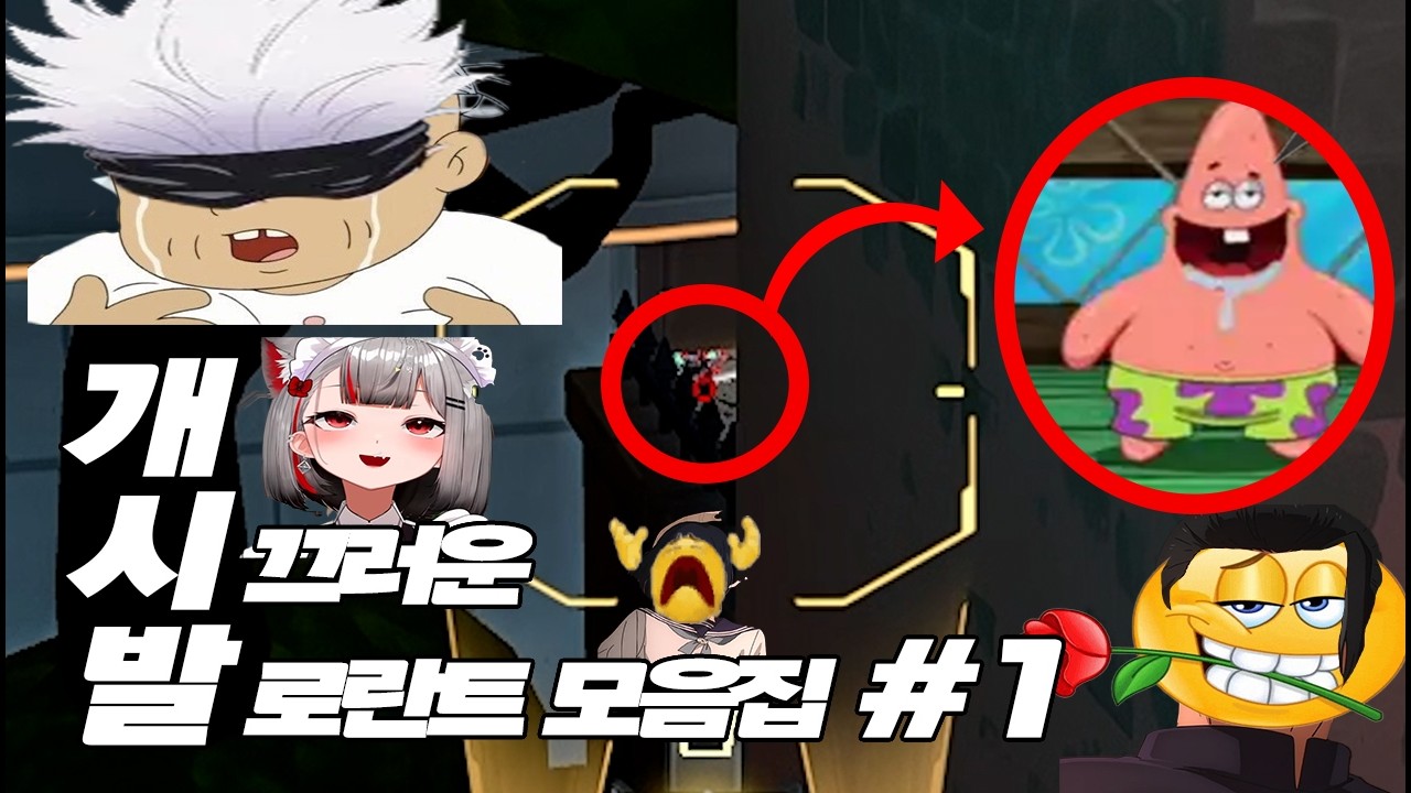개 시끄러운 발로란트 모음집 #1
