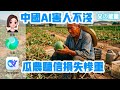 中國AI超越美國？簡直是人工智障！瓜農阿伯聽信豆包，種出生瓜！| Reaction Video| 豆包| 元寶| Deep Seek| 陳雲英| 林毅夫| Gemini| ChatGPT| Grok|
