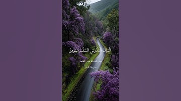 تلاوة خاشعة عبدالباسط عبدالصمد سورة الحشر #تلاوة #عبدالباسط_عبدالصمد #الحشر