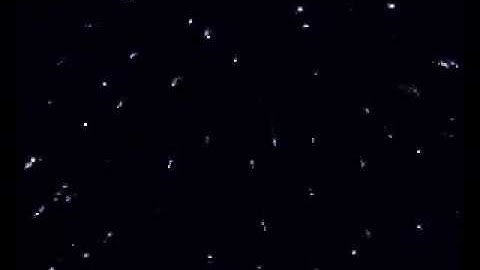 Puple to Glittering Willow Cat 4 Display Fireworks Shell - Epic Fireworks