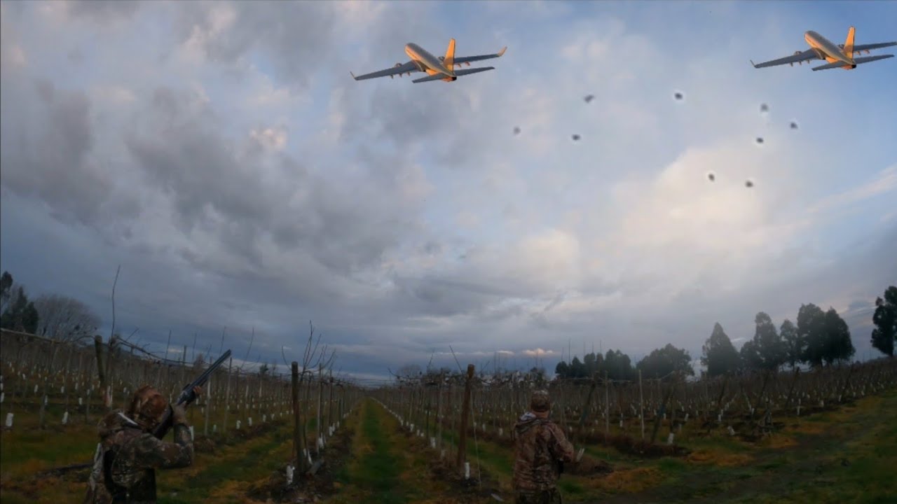 Caza de tortolas con escopeta verdaderos aviones tiros muy lejos