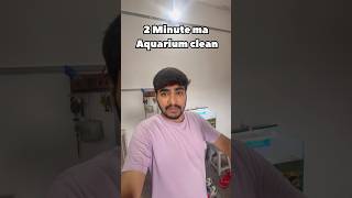 (Only 2 Minutes 🐢🐬) #turtle #shorts #fish #pets