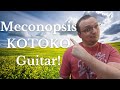 Meconopsis PLAYTHROUGH by KOTOKO (Performed by Rocker3829) – Sheet Music/Guitar Tab Below!