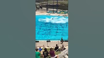 Utah Olympic park