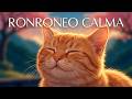 🐱 Música Relajante para Gatos Ansiosos | Ronroneos y Frecuencias para Calmar el Estrés Felino 💤