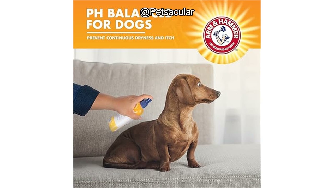 Arm & Hammer Itch Relief Spray for Dogs Review: Is It Worth the Hype for Skin Relief?